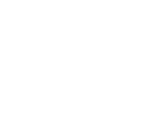 top brand logo